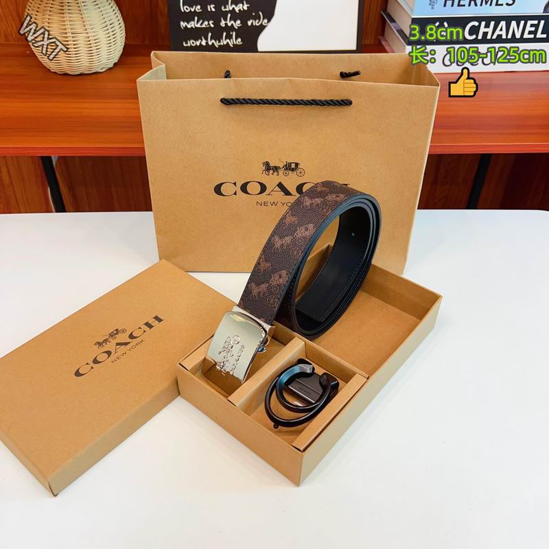 Coach belt 38mmX105-125cm 8L34